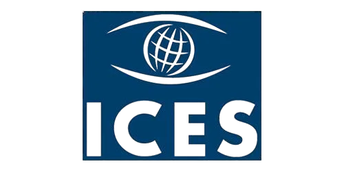 ICES Icon